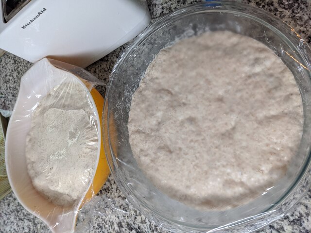 Dough in a bowl, some bubble lumps, taking up most of the bowl