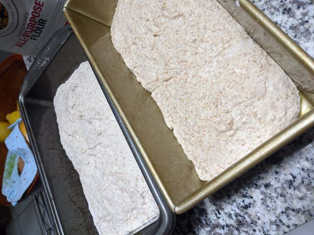 Dough in a bread pan, taking up half of the pan