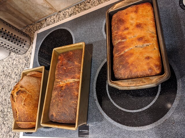 Three slightly burned sourdough loaves in pans on an oven