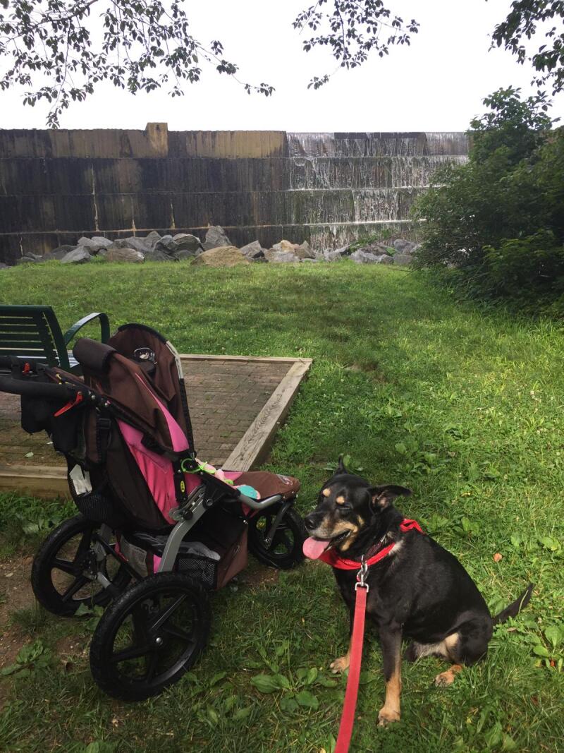 Clapton below the Wilde Lake dam.