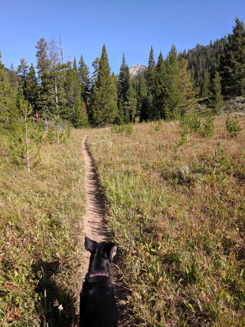 Clapton on a trail, the mountains in the distance.