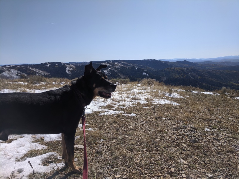Clapton looking out from the top of a small mountain.