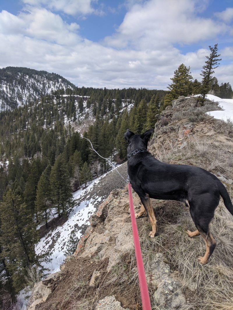 Clapton on a ridge line, snow on the ground.