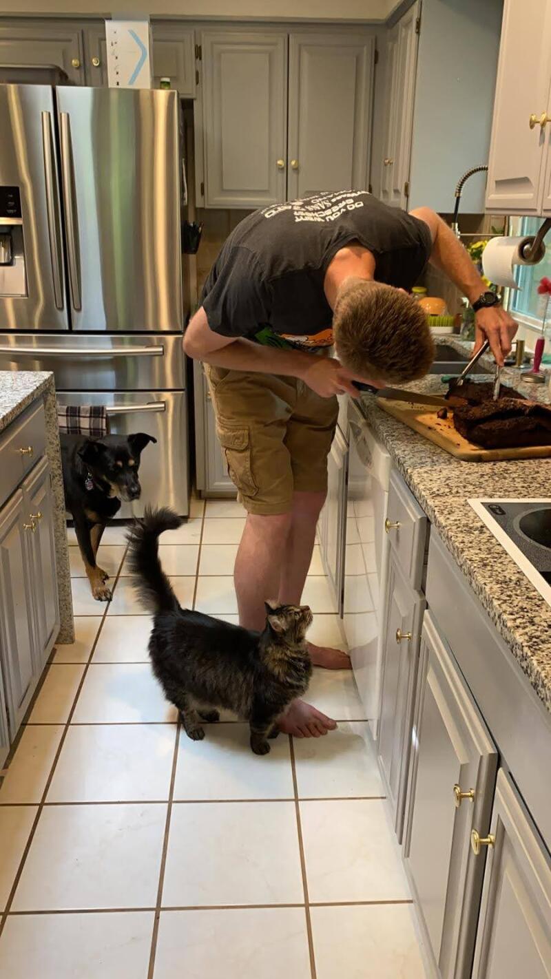 Clapton and Fatty looking on as I slice up some smoked brisket