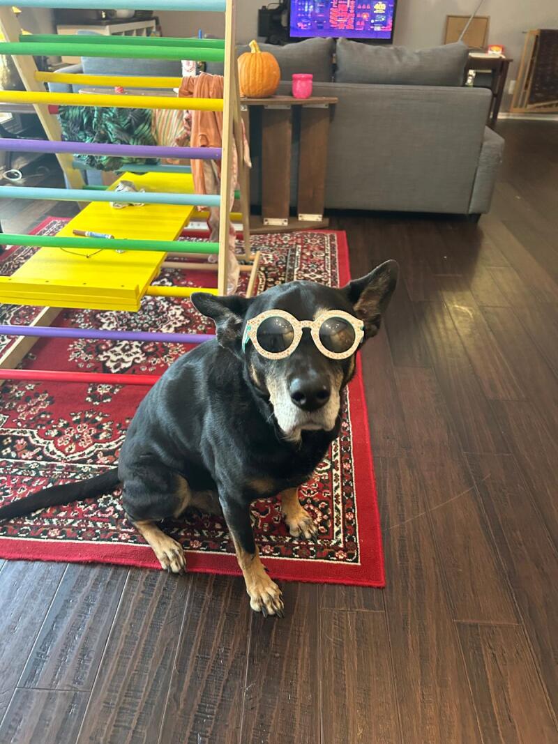 Clapton in silly large glasses.