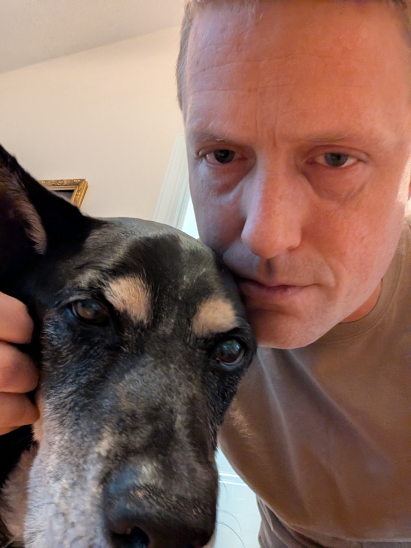 Clapton and Karl looking at the camera, Clapton with a lot of gray on his muzzle.